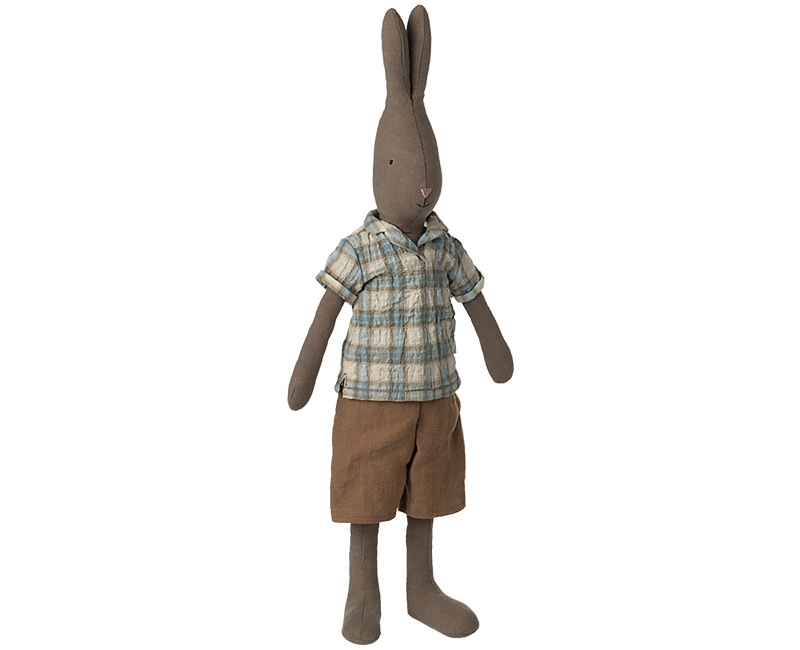 Brown Rabbit