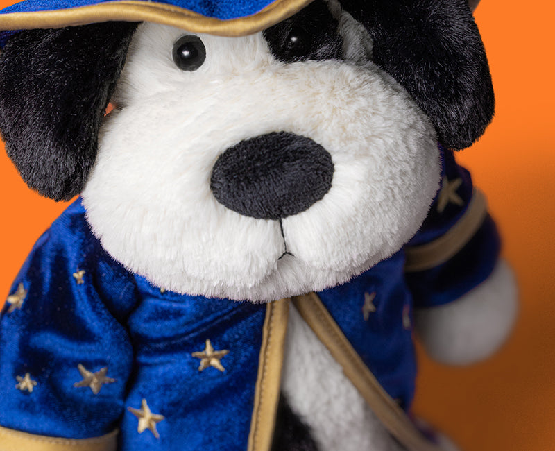 Rufferty Puppy Wizard