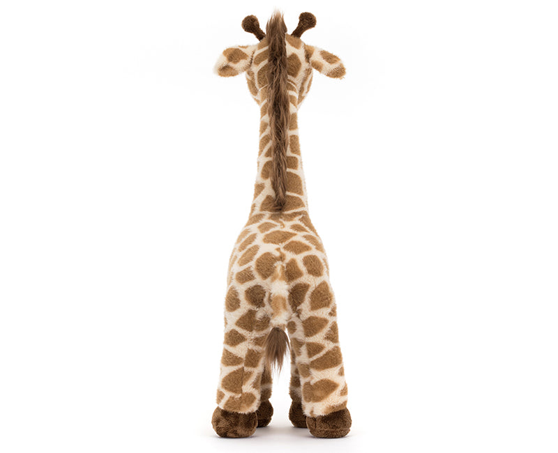 Girafa Dara